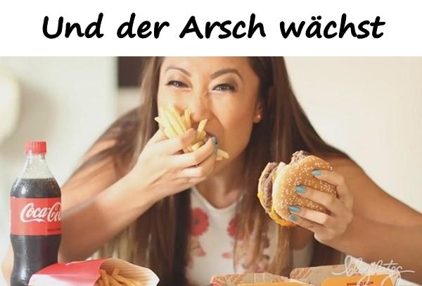 Und der Arsch wächst