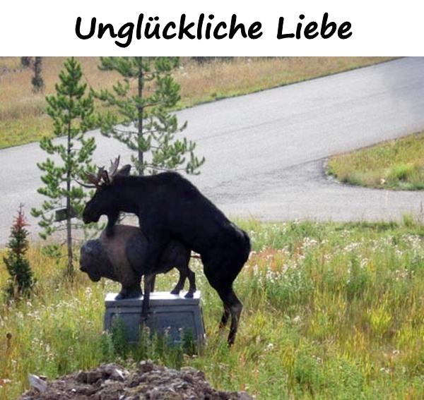 Unglückliche Liebe