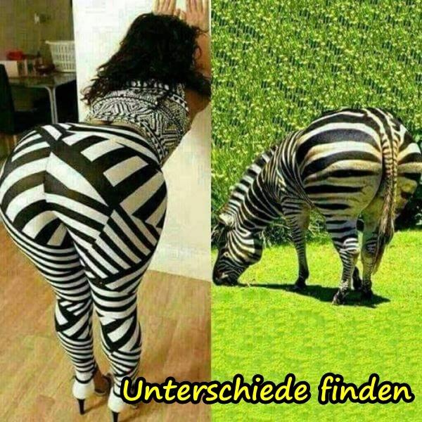 Unterschiede finden