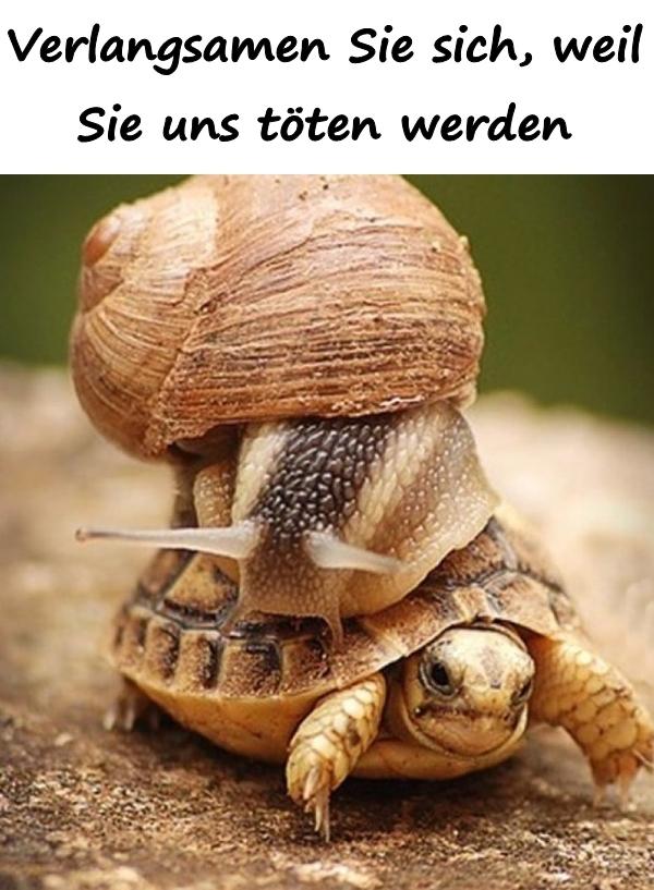 Verlangsamen Sie sich, weil Sie uns töten werden