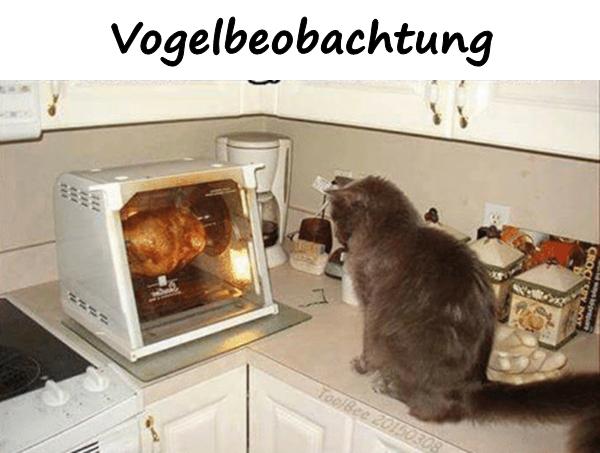 Vogelbeobachtung