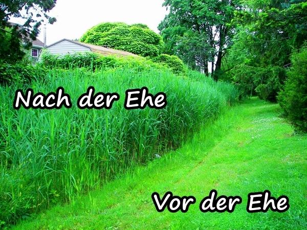 Vor der Ehe und nach der Ehe