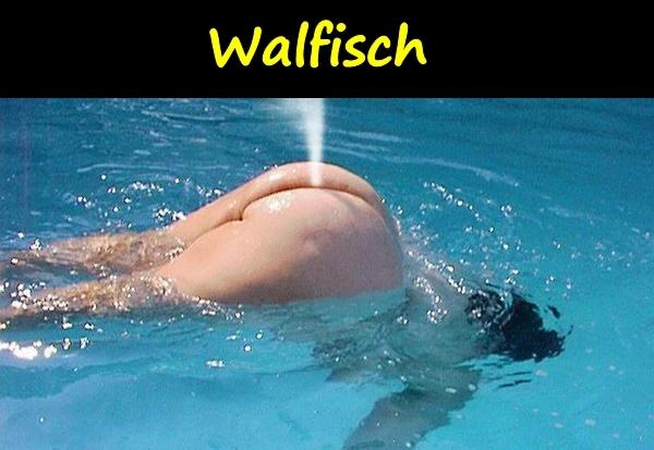 Walfisch