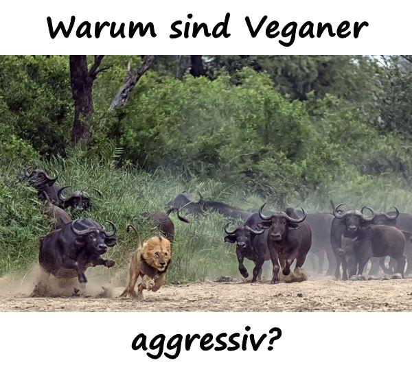 Warum sind Veganer aggressiv