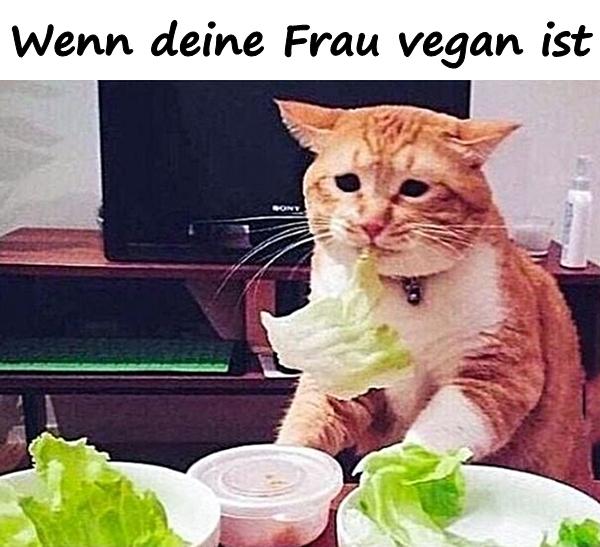 Wenn deine Frau vegan ist