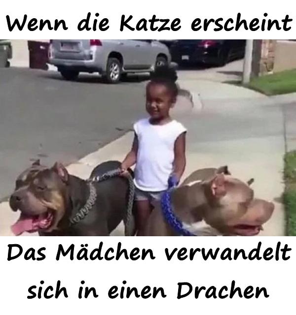 Wenn die Katze erscheint Das Mädchen verwandelt sich in