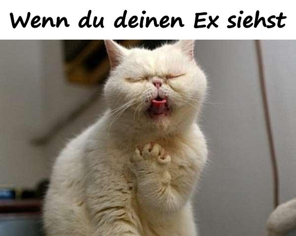 Wenn du deinen Ex siehst