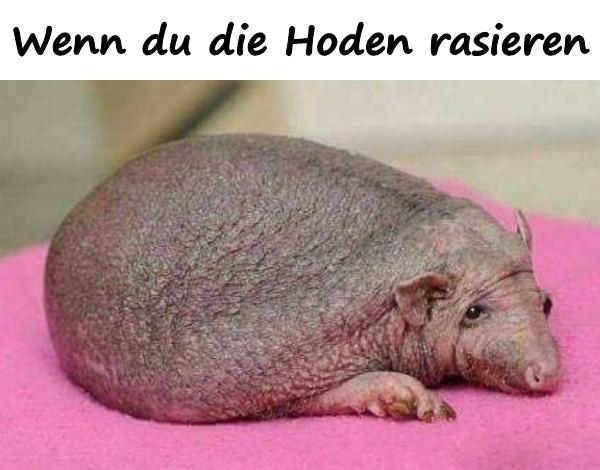 Wenn du die Hoden rasieren