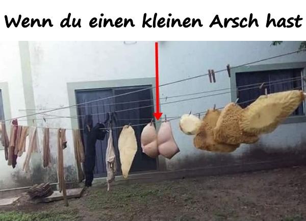 Wenn du einen kleinen Arsch hast