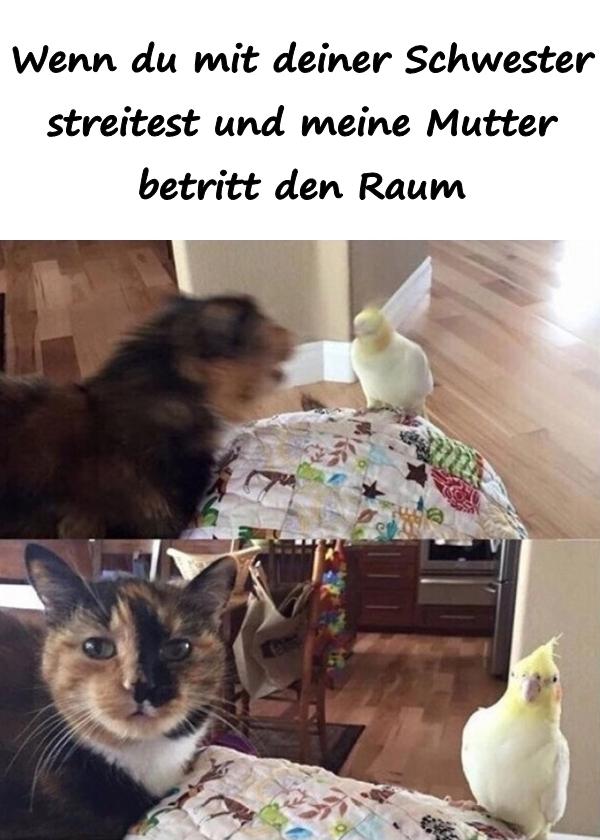 Wenn du mit deiner Schwester streitest und meine Mutter