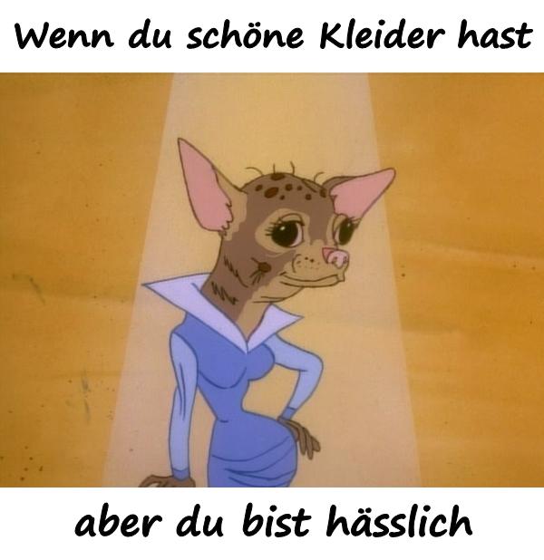 Wenn du schöne Kleider hast, aber du bist hässlich