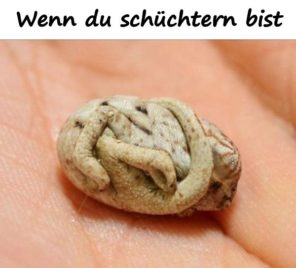 Wenn du schüchtern bist