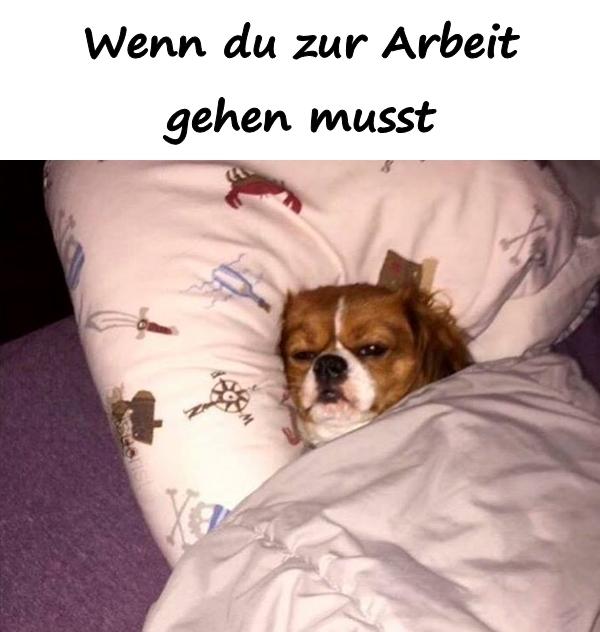 Wenn du zur Arbeit gehen musst