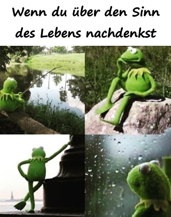 Wenn du über den Sinn des Lebens nachdenkst