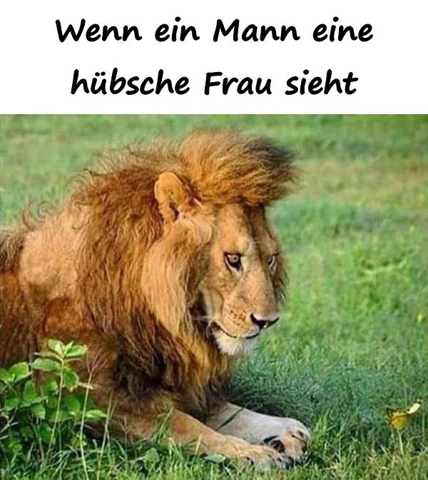 Wenn ein Mann eine hübsche Frau sieht