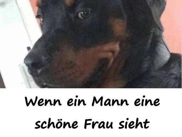 Wenn ein Mann eine schöne Frau sieht