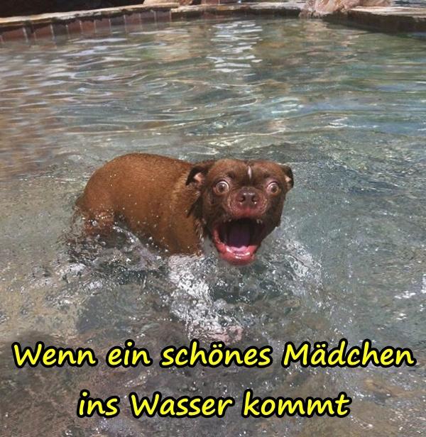 Wenn ein schönes Mädchen ins Wasser kommt