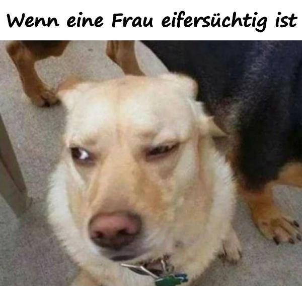 Wenn eine Frau eifersüchtig ist