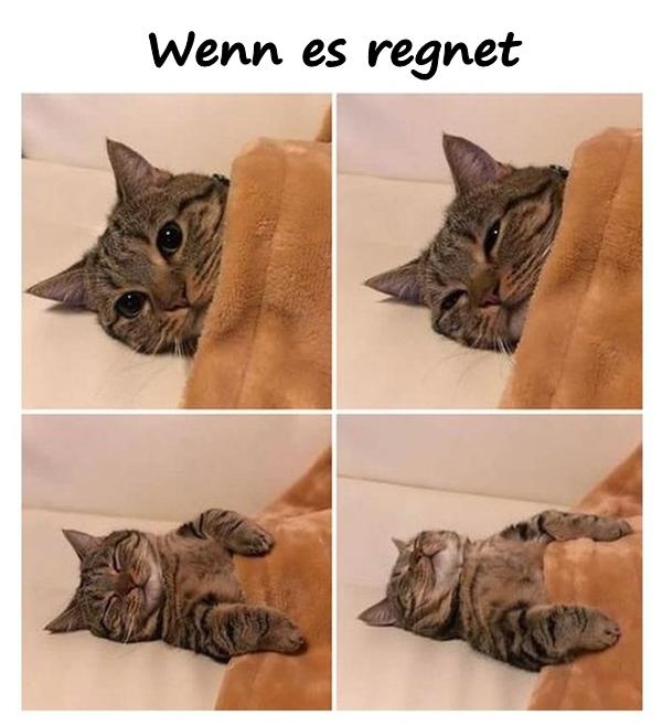 Wenn es regnet