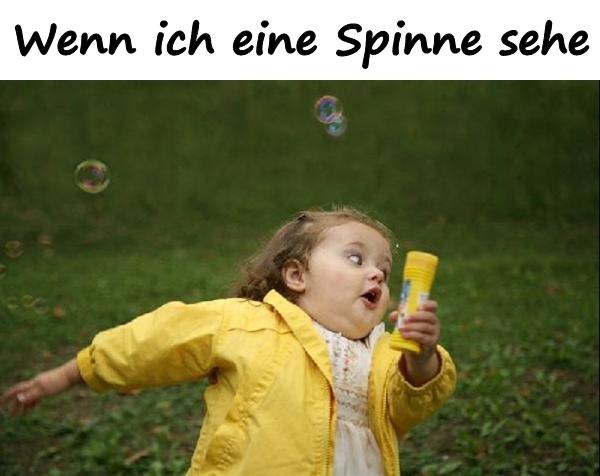 Wenn ich eine Spinne sehe