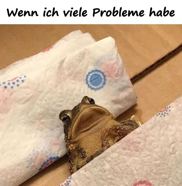 Wenn ich viele Probleme habe