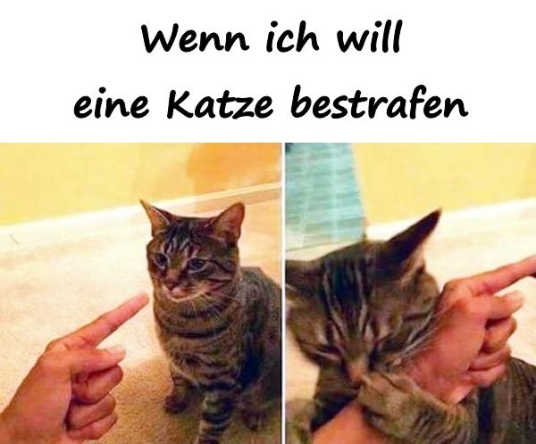 Wenn ich will eine Katze bestrafen