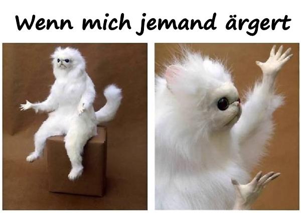 Wenn mich jemand ärgert