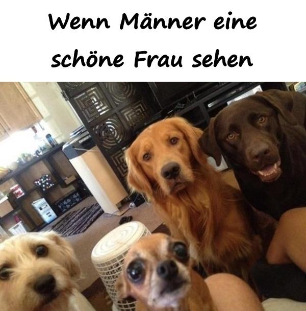 Wenn Männer eine schöne Frau sehen