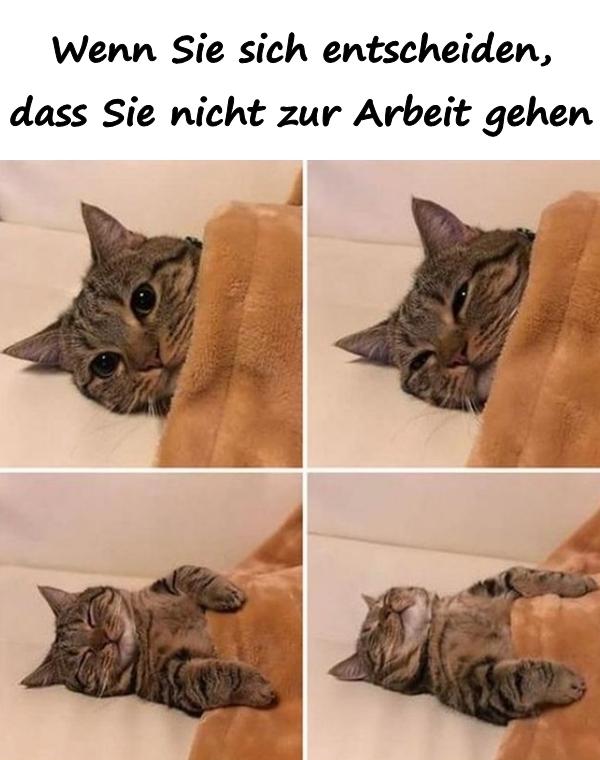 Wenn Sie sich entscheiden, dass Sie nicht zur Arbeit gehen