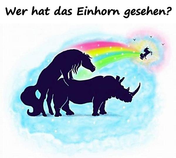 Wer hat das Einhorn gesehen