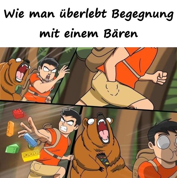 Wie man überlebt Begegnung mit einem Bären