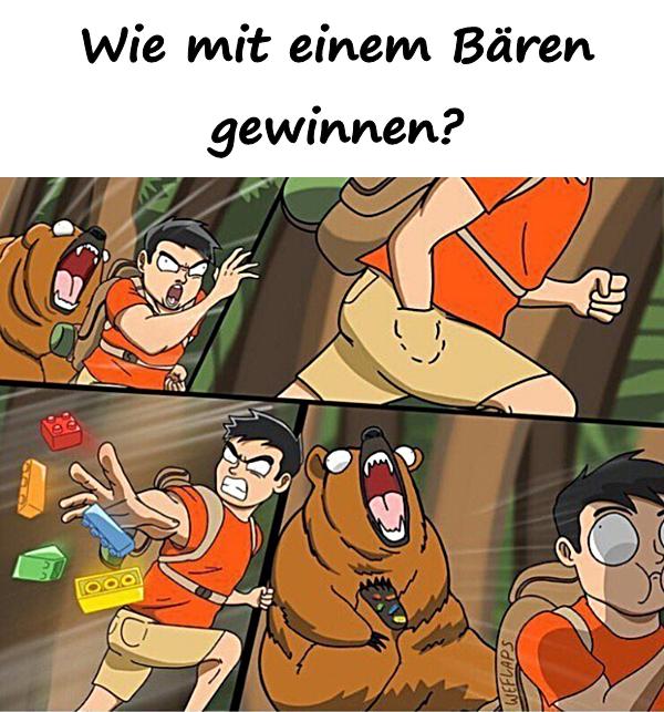 Wie mit einem Bären gewinnen