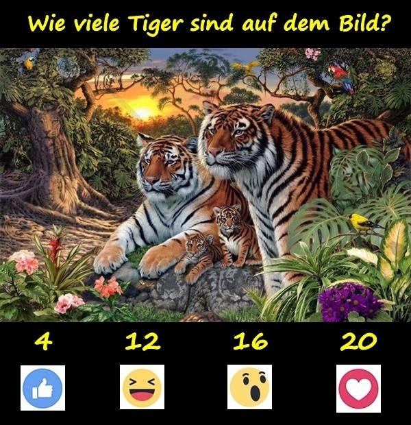 Wie viele Tiger sind auf dem Bild