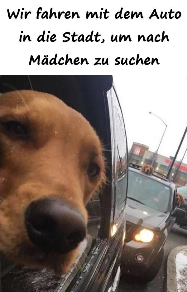 Wir fahren mit dem Auto in die Stadt, um nach Mädchen zu