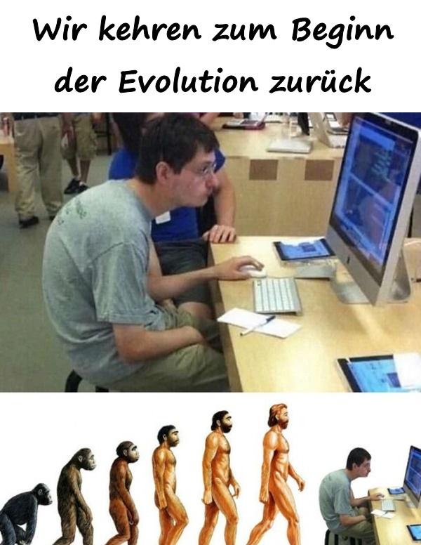Wir kehren zum Beginn der Evolution zurück