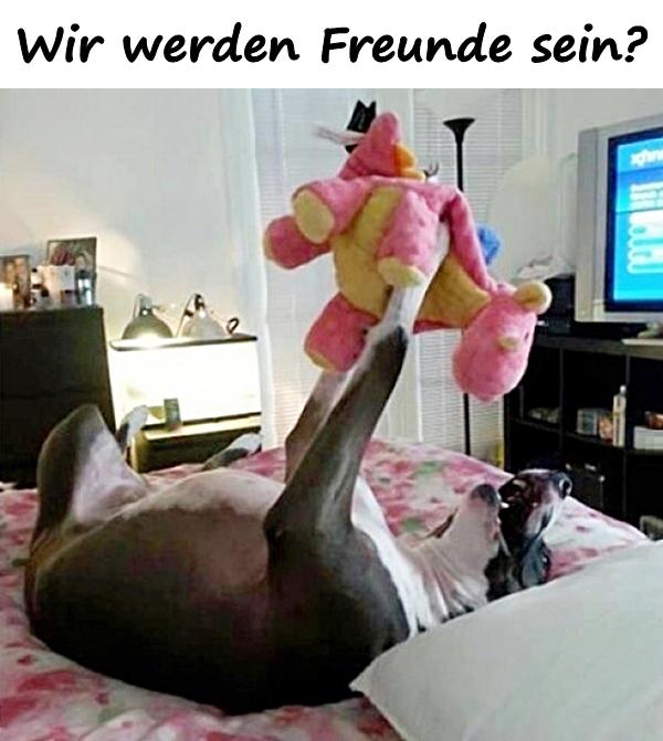 Wir werden Freunde sein