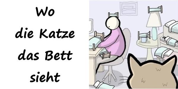 Wo die Katze das Bett sieht