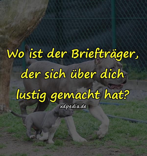 Wo ist der Briefträger, der sich über dich lustig gemacht