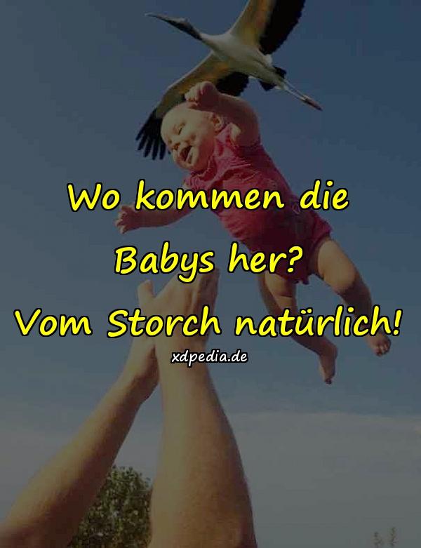 Wo kommen die Babys her? Vom Storch natürlich