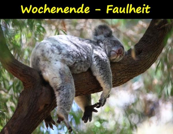 Wochenende - Faulheit