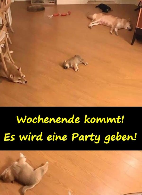 Wochenende kommt! Es wird eine Party geben