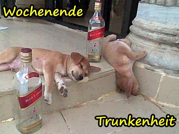 Wochenende - Trunkenheit