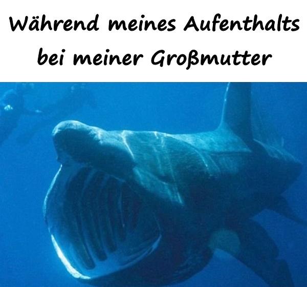 Während meines Aufenthalts bei meiner Großmutter