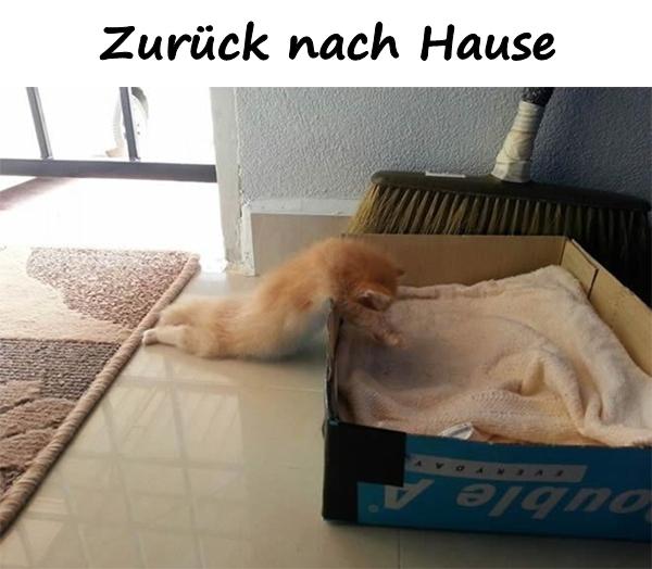 Zurück nach Hause