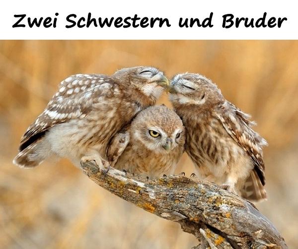 Zwei Schwestern und Bruder