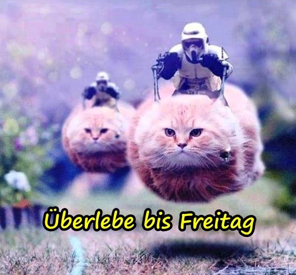 Überlebe bis Freitag