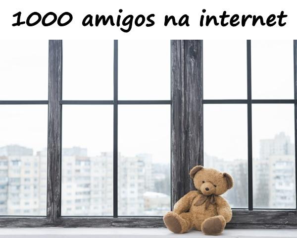 1000 amigos na internet