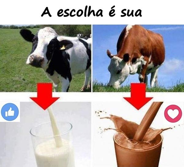 A escolha é sua