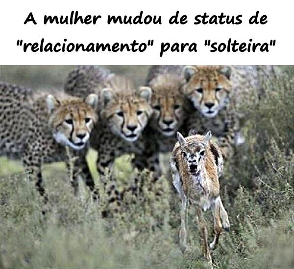 A mulher mudou de status de "relacionamento" para "solteira