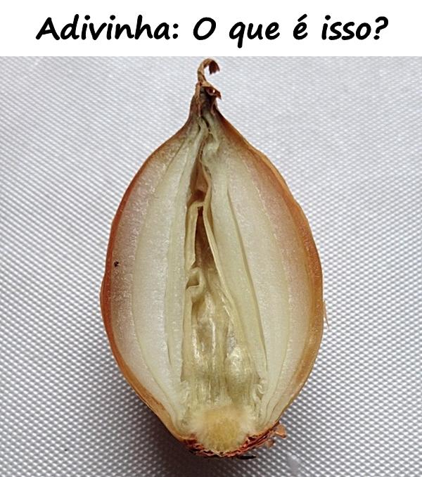 Adivinha: O que é isso